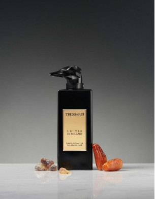 The Paintings of Palazzo Reale Edp Intense